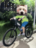 美利達（MERIDA）25款 雄獅610 山地自行車(chē) 21速 平麗一黑 26*17 (建議身高168-178CM) 曬單實(shí)拍圖