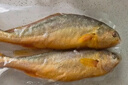 海名威 冷凍黃花魚(yú)700g/2條 寧德大黃魚(yú)地標 海鮮水產(chǎn) 生鮮魚(yú)類(lèi) 海魚(yú) 曬單實(shí)拍圖
