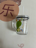 舒齊兒童牛奶杯學飲杯家用寶寶沖泡奶粉杯帶刻度杯吸管帶把玻璃水杯 曬單實拍圖