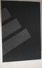 阿迪達斯 （adidas） 田徑精英新款 Adidas Sprintstar男女專(zhuān)業(yè)訓練比賽短跑釘鞋 GX6685 42 曬單實(shí)拍圖