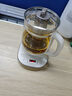 小熊（Bear）養生壺 2L大容量煮茶壺煮茶器 24H恒溫花茶壺 燉煮一體燒水壺電熱水壺 316L母嬰材質(zhì) YSH-D20T6 曬單實(shí)拍圖