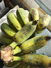 廣西小米蕉 軟糯酸甜皮薄肉厚小米蕉香蕉應季新鮮水果現摘現發(fā) 廣西小米蕉  3斤 曬單實(shí)拍圖