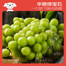 京鮮生 陽(yáng)光玫瑰葡萄 青提4-4.5斤禮盒裝 單果約10g 生鮮水果 中秋禮盒 曬單實(shí)拍圖