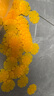 彌鹿（MiDeer）雪花片立體拼插大號積木六一兒童節禮物兒童DIY玩具禮盒3-5-6歲 【大號禮盒裝】透彩雪花片-500片 曬單實(shí)拍圖