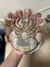 森農樂(lè )舟山琵琶蝦鮮活特大生鮮冷凍九齒扇蝦姑新鮮瀨尿蝦深海海鮮爬蝦 2000g(凈重)  19-22cm（2-3只/斤） 曬單實(shí)拍圖