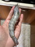 賣(mài)魚(yú)七郎青島鹽凍大蝦 白蝦 基圍蝦 鮮活青蝦海蝦對蝦 2.7斤凈重 只只分離 青島鹽凍大蝦 2.7斤(凈重)  /盒 1盒 曬單實(shí)拍圖