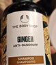 美體小鋪【官方店】The Body Shop美體小鋪英國進(jìn)口生姜茶樹(shù)洗發(fā)水露 生姜頭皮護理洗發(fā)露 400ml 1瓶 曬單實(shí)拍圖