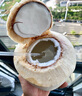 佳農 泰國進(jìn)口椰青9粒裝 單果900g+ 贈開(kāi)椰器吸管 生鮮水果禮盒 包郵 曬單實(shí)拍圖