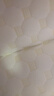 多喜愛(ài)（Dohia）家紡枕頭 大豆纖維枕芯一只裝 兒童枕學(xué)生枕家用整頭枕芯 泡泡綿軟大豆纖維枕(74*48cm) 曬單實(shí)拍圖