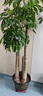 山澤 電話(huà)線(xiàn)2芯多股純銅線(xiàn)芯 辦公室座機電話(huà)延長(cháng)線(xiàn)傳真機連接線(xiàn) 工程家裝語(yǔ)音布線(xiàn) 100米/卷 M100A-2C 曬單實(shí)拍圖
