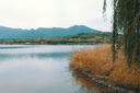 松下S9（18-40mm F4.5-6.3）套機（Panasonic） 全畫(huà)幅微單 實(shí)時(shí)Lut 濾鏡直出 連接app極速分享-橙 曬單實(shí)拍圖