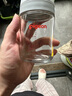 貝親（Pigeon）新生兒玻璃奶瓶套裝(160mlS號奶嘴+240mlM號奶嘴) 1-3個(gè)月 曬單實(shí)拍圖