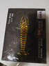 良滿(mǎn)鮮福建漳州活凍大號黑虎蝦 無(wú)冰凈重2斤 30-40只/盒 海鮮大蝦 低脂 曬單實(shí)拍圖