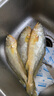 鴻順【冰鮮】黃花魚(yú)4條4斤 生鮮魚(yú)類(lèi) 寧德大黃魚(yú) 地標產(chǎn)品 源頭直發(fā) 曬單實(shí)拍圖