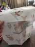 babycare嬰兒口水巾圍嘴圍兜一次性柔軟小方巾防臟圍兜霸王龍托比20片 曬單實(shí)拍圖