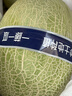 【產(chǎn)地直采】冰淇淋網(wǎng)紋瓜1粒1.25kg 曬單實(shí)拍圖
