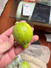 廣東香水檸檬新鮮檸檬奶茶店專(zhuān)用香水檸檬水果產(chǎn)地源頭直發(fā) （帶箱1斤）香水檸檬單果70g起 曬單實(shí)拍圖