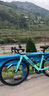 喜德盛公路自行車(chē)2025款AD300油碟UCI車(chē)架2x10速中空一體牙盤(pán)桶軸破風(fēng)車(chē) 青蛇 510mm（適合身高170-180cm） 曬單實(shí)拍圖
