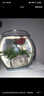 貝初眾魚(yú)缸小型魚(yú)缸圓形塑料缸仿玻璃一體生態(tài)桌面缸家用客廳金魚(yú)斗魚(yú)缸 輕巧高透魚(yú)缸32*26*27.5cm【巨無(wú)霸】 高透pet仿玻璃材質(zhì) 裸缸 打不破 摔不碎 久用不糊 曬單實(shí)拍圖