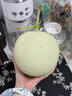 南步海南玉菇甜瓜 正宗冰淇淋甜瓜奶香蜜瓜冰激凌軟糯哈蜜瓜新鮮水果 凈重4.5-5斤 精選瓜【約1-4個(gè)裝】 曬單實(shí)拍圖
