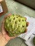 果益壽廣東鳳梨釋迦果牛奶冰淇淋釋迦摩尼大目佛頭番荔枝送禮整箱 凈重2斤 優(yōu)選4-6個(gè) 單果3-5兩 核心產(chǎn)區直發(fā) 曬單實(shí)拍圖