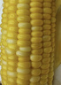 京鮮生云南水果玉米5斤 鮮甜玉米棒 甜脆多汁 新鮮蔬菜 源頭直發(fā)包郵 曬單實(shí)拍圖