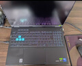 華碩天選6 Pro 銳龍版 國家補貼20% 16英寸游戲本 筆記本電腦(銳龍9 8940HX 16G 1T RTX5060 2.5K)青 曬單實(shí)拍圖