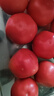 【超市精選】山東沙瓤水果西紅柿新鮮番茄蔬菜減肥單果100g起 西紅柿中大果 4斤 帶箱 曬單實(shí)拍圖