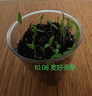 IAM City Farmer小番茄種子兒童種植盆栽學(xué)生植物觀(guān)察杯發(fā)芽生長(cháng)趣味diy植物10031 曬單實(shí)拍圖