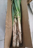 農家自種精品山東大蔥特級新鮮鐵桿長(cháng)白蔥農家毛蔥香蔥現挖便宜 山東大蔥（帶老皮）帶箱 4斤 曬單實(shí)拍圖