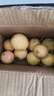 廣西欽蜜9號黃金百香果萬(wàn)澄當季新鮮大果黃皮果奶茶店水果 【1斤 約11-17個(gè)】單果30-45g 曬單實(shí)拍圖