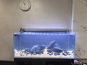 創(chuàng  )星魚(yú)缸魚(yú)池過(guò)濾器變頻循環(huán)水泵過(guò)濾桶三合一超靜音系統全套CFZ系列 【適用80-160CM缸】變頻CFZ-2000 【強化版濾材】套裝 曬單實(shí)拍圖