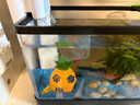 瘋狂水草小型魚缸壁掛過濾器C1凈水靜音循環(huán)泵三合一增氧泵吸糞 曬單實(shí)拍圖
