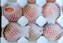 京鮮生山東金秋紅蜜桃 凈重4.5斤 單果150g起 新鮮水果 源頭直發(fā) 曬單實(shí)拍圖