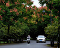 松下14-140mm (35mm相機等效：28-280mm) F3.5-F5.6 標準變焦鏡頭（Panasonic）H-FSA14140GK風(fēng)光 人像 曬單實(shí)拍圖