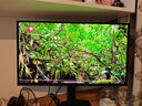 泰坦軍團26.5英寸 原廠QD-OLED屏 2K 原生240Hz 專業(yè)電競調(diào)校 10bit 防燒屏技術 帶背光燈效 顯示器 G27W8S 曬單實拍圖