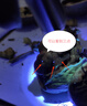 雷佰（Leibai）黃曲霉菌檢測筆燈365nm紫光驗鈔手電筒熒光劑蔬菜波爾多液檢測燈 USB充電款-波爾多液檢測燈 曬單實(shí)拍圖