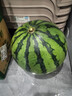 京鮮生 麒麟西瓜 1粒凈重5-6斤 水果 源頭直發(fā)包郵 曬單實(shí)拍圖