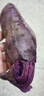 京覓湖北沙地紫薯 凈重4.5斤 單果200g+ 軟糯香甜源頭直發(fā)包郵 曬單實(shí)拍圖