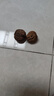 云南今年新貨野生老樹(shù)核桃紙皮薄皮孕婦黑桃薄殼干黑桃零食無(wú)漂 云南新貨薄皮核桃1斤-大樹(shù)普通果 曬單實(shí)拍圖