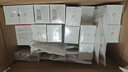 韓束白蠻腰水乳霜美白淡斑去黃提亮抗皺緊致護(hù)膚品套裝生日禮物送女友 曬單實(shí)拍圖