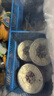 一只魚襪子男士10A級(jí)抗菌防臭春夏季運(yùn)動(dòng)襪短筒短襪休閑棉襪開學(xué)季 曬單實(shí)拍圖