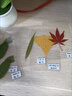 威爾基植物標本樹(shù)葉標本葉子書(shū)簽干花diy干樹(shù)葉材料成品手工干花裝飾 12枚樹(shù)葉標本【款式不重復】 無(wú)規格 曬單實(shí)拍圖
