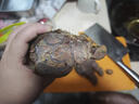 鮮羊官 國產(chǎn)牛腱子內蒙古整條原切黃牛肉低脂健身生鮮草飼牛肉 火鍋食材 金錢(qián)腱1500g 曬單實(shí)拍圖