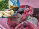 其他品牌鮮活叉尾鮰魚(yú)1條（1-1.5kg/條） 曬單實(shí)拍圖