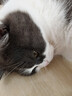 猩球衛(wèi)士高級感適用OPPO FindX8Ultra磁吸石英砂巖手機殼散熱全包findx8u商務防摔保護套商務簡約磨砂殼黑 曬單實拍圖