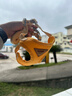 COCS小狗牽引繩胸背帶背心式遛狗繩中小型幼犬脖圈貓咪牽引繩胸背套裝 落日黃 S(胸圍38-44cm 建議7-13斤) 曬單實(shí)拍圖