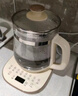 小熊（Bear）養生壺 煮茶壺 恒溫水壺 保溫燒水一體智能電熱水壺花茶壺燒水壺 11檔保溫 1.5L大容量 YSH-J15Z7 曬單實(shí)拍圖