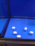 颯望德國魚(yú)鹽凈水殺菌粗鹽觀(guān)賞魚(yú)專(zhuān)用錦鯉水族魚(yú)缸硝化菌消毒萬(wàn)能水劑 二斤【桶裝】通用殺菌軟水【白色通用鹽】 曬單實(shí)拍圖