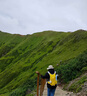 駱駝（CAMEL）蜜蜂包戶(hù)外騎行徒步登山包旅游旅行輕便爬山背包運動(dòng)雙肩包 銀杏黃 9L騎行背包 574D284633A 曬單實(shí)拍圖